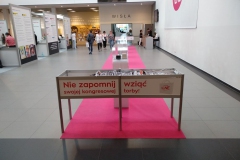 Pozostałe zabudowy 24